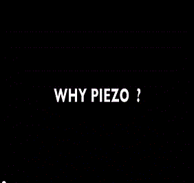 Why Piezo?